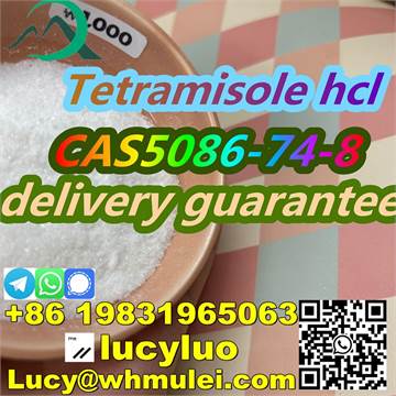 Best quality Tetramisole hydrochloride CAS 5086-74-8